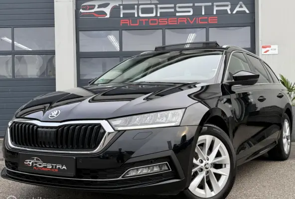 1.0 TSI Business Edition Plus Pano Trekhk