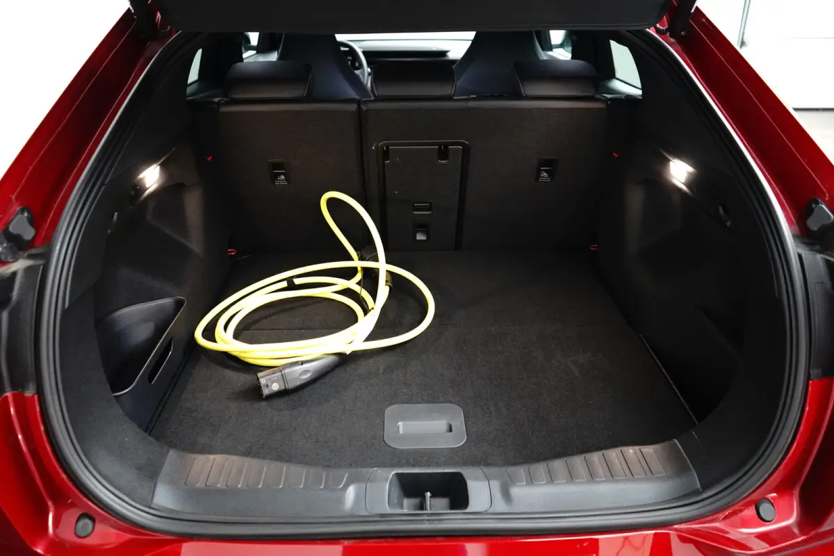 Extended Range RWD 77 kWh