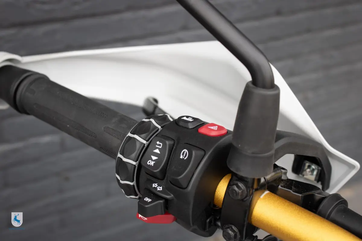F 450 Trophy / Easy Ride Clutch