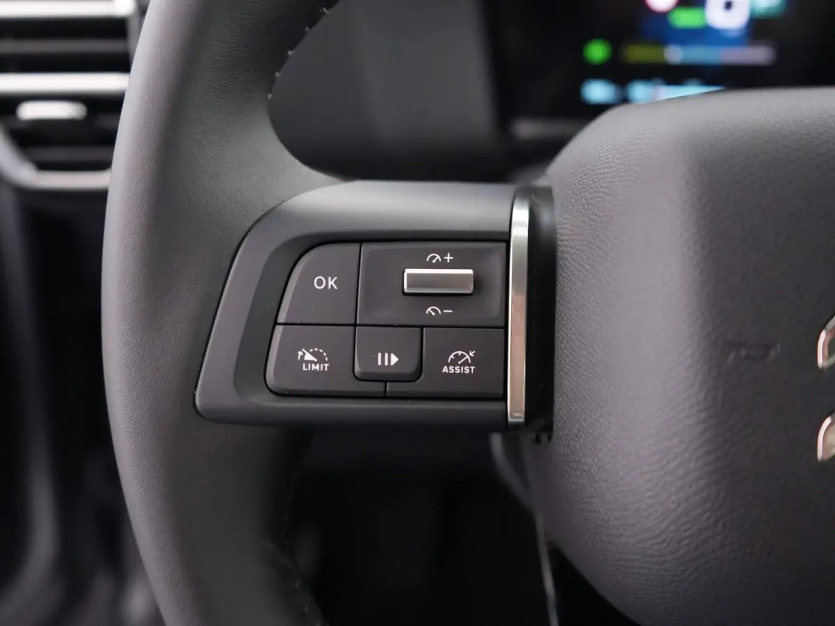 Plus 54 kWh | Carplay | Camera | Cruise | Clima | 18"LMV | Parkeersensoren |