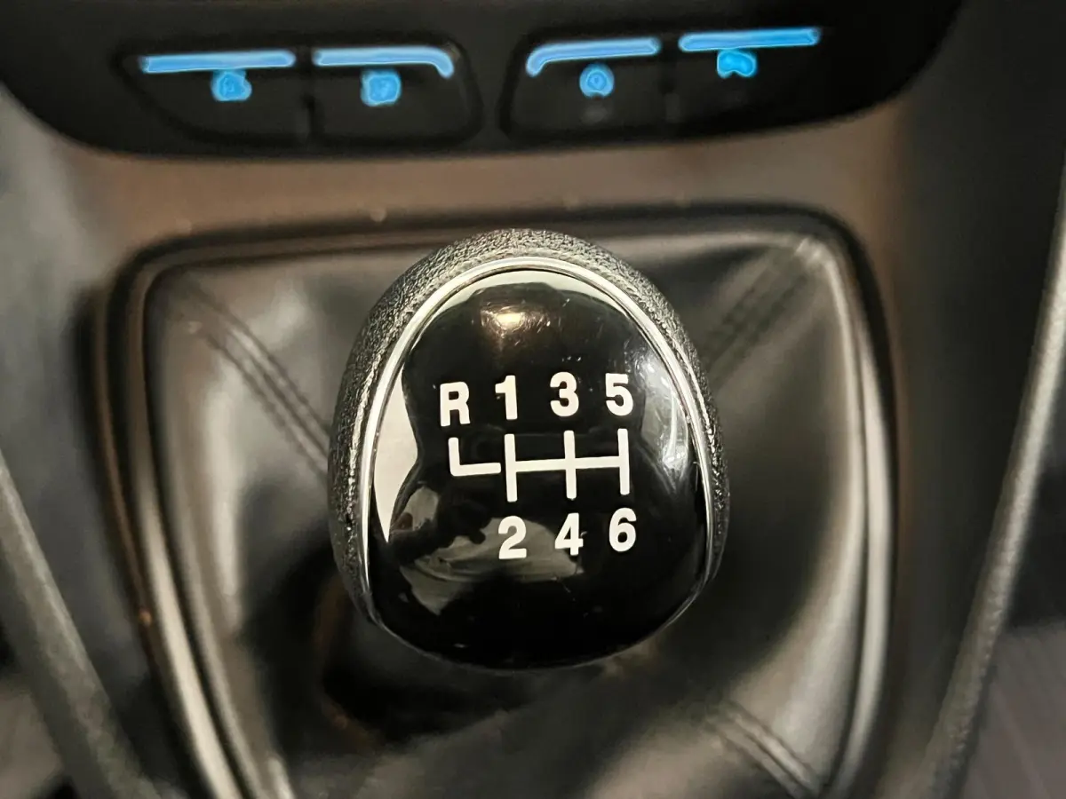 1.5 EcoBlue L2 Trend Achterklep Cruise Control