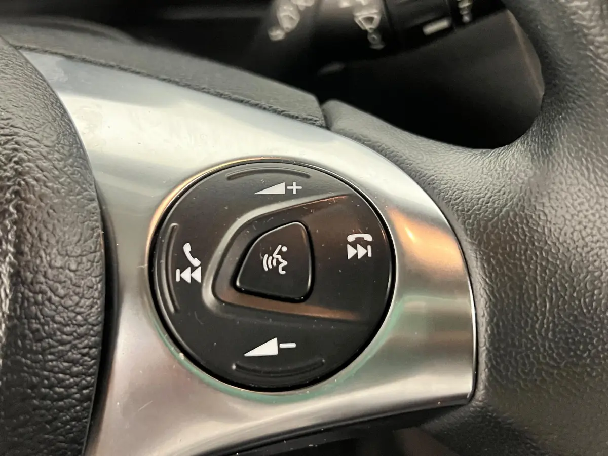 1.5 EcoBlue L2 Trend Achterklep Cruise Control