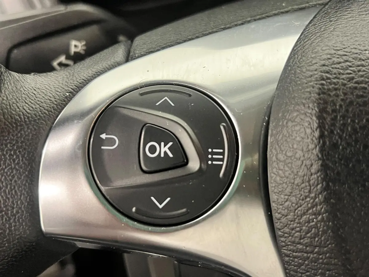 1.5 EcoBlue L2 Trend Achterklep Cruise Control