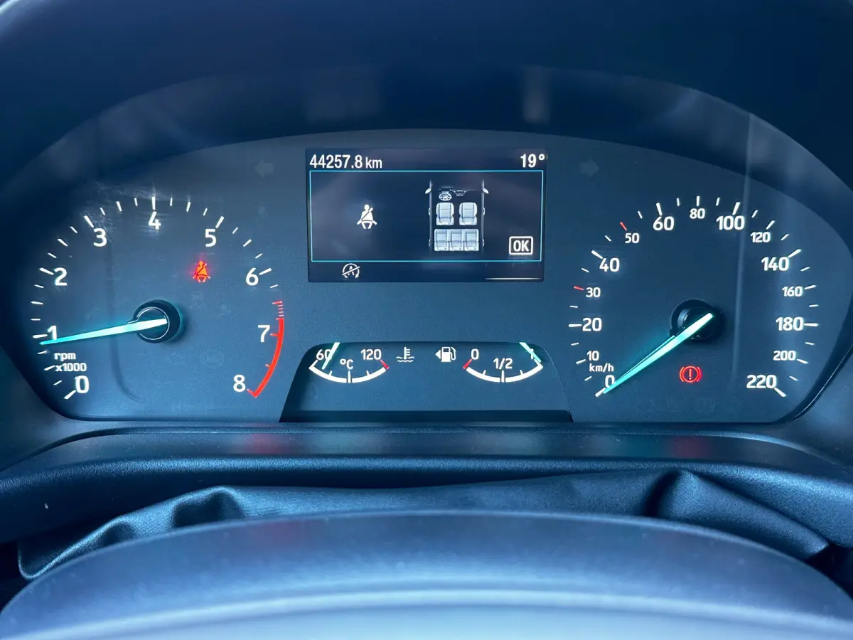 1.0 125 PK Hybrid ST-Line | STUUR, STOEL EN VOORRUITVERWARMING| KEYLESS ENTRY & START| ADAPTIEVE LED KOPLAMPEN| DAB| APPLE CARPLAY/ANDROID AUTO|