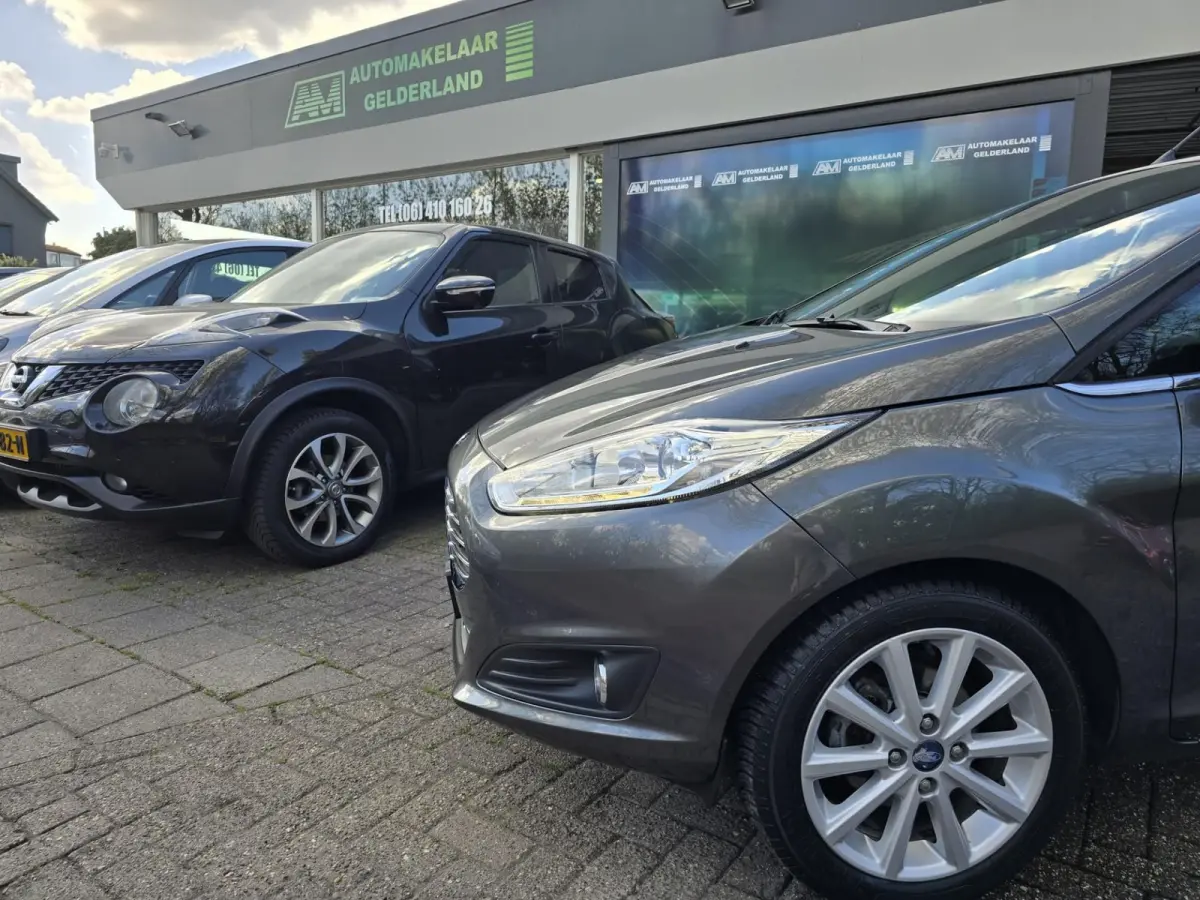 1.0 EcoBoost Titanium | 2E EIGENAAR | 12MND GARANTIE | NW DISTR | AIRCO | NAVI |