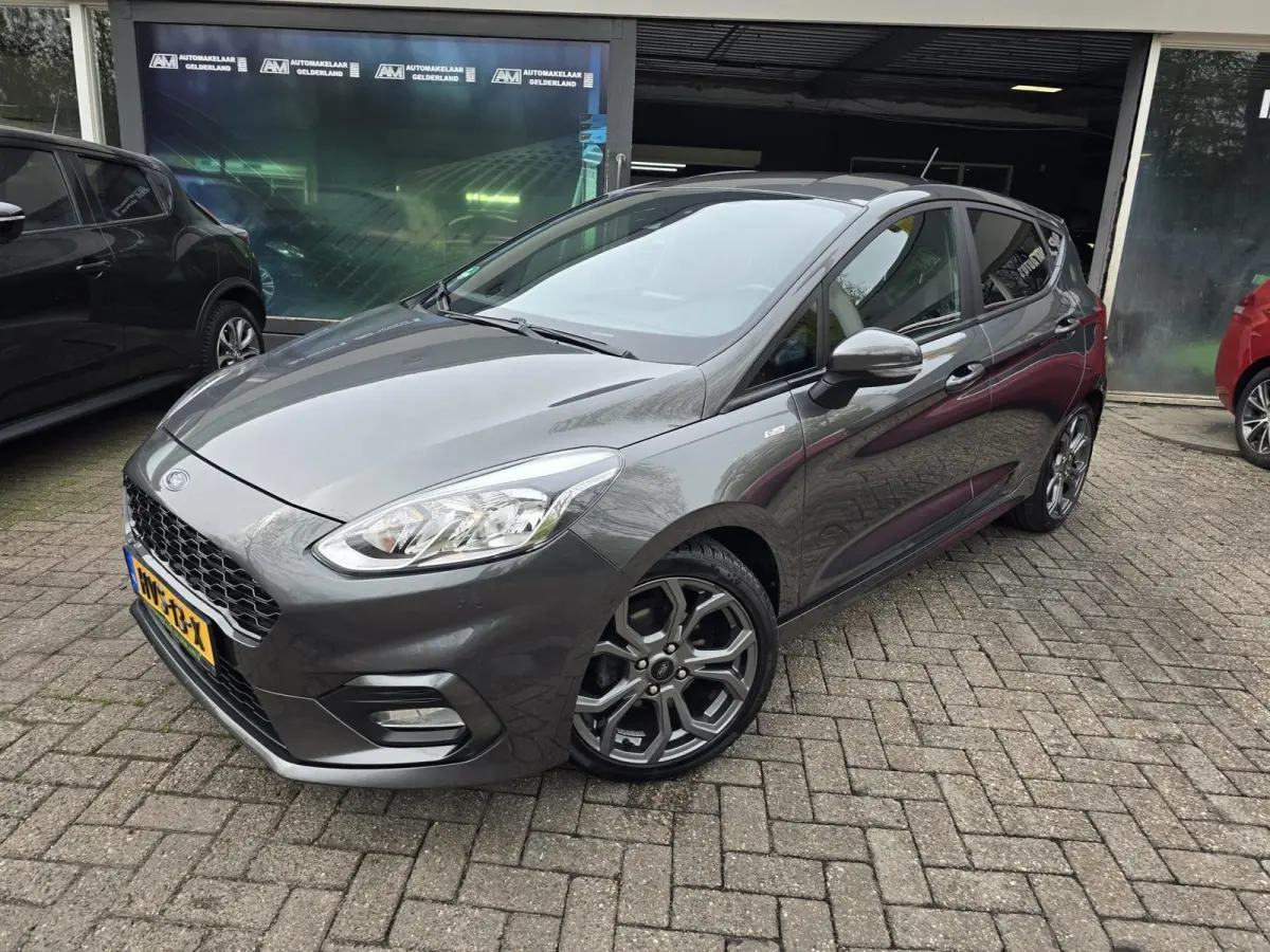 1.0 EcoBoost Active | 1E EIGENAAR | 12MND GARANTIE | CRUISE | LMV |
