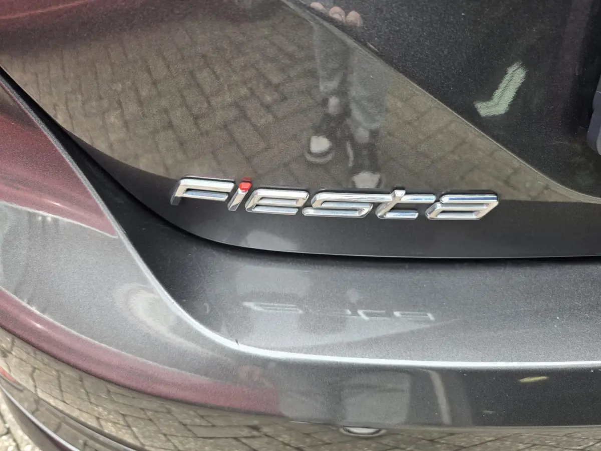 1.0 EcoBoost Active | 1E EIGENAAR | 12MND GARANTIE | CRUISE | LMV |