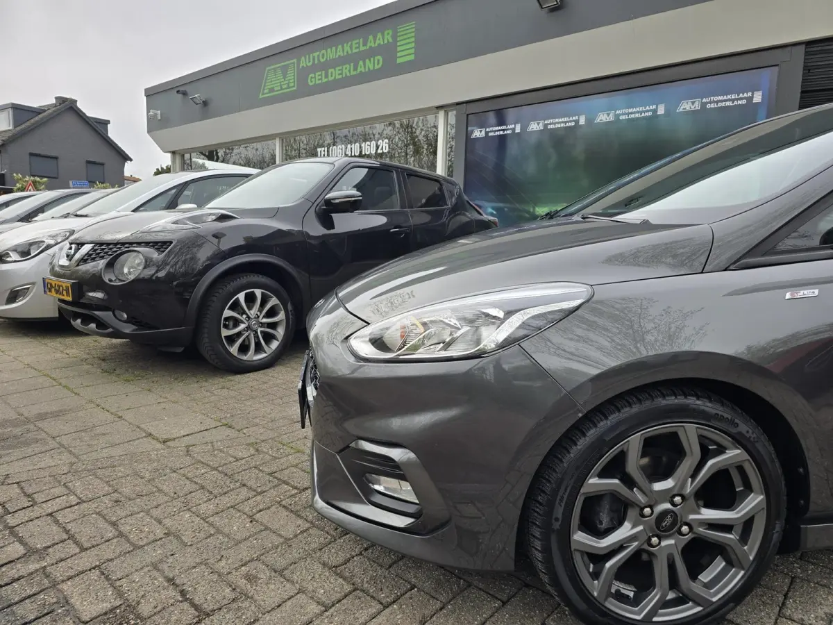 1.0 EcoBoost Active | 1E EIGENAAR | 12MND GARANTIE | CRUISE | LMV |