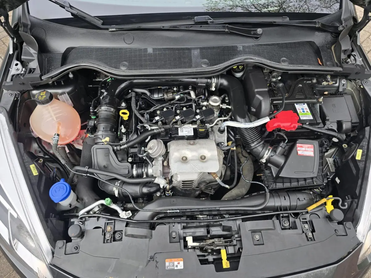 1.0 EcoBoost Active | 1E EIGENAAR | 12MND GARANTIE | CRUISE | LMV |