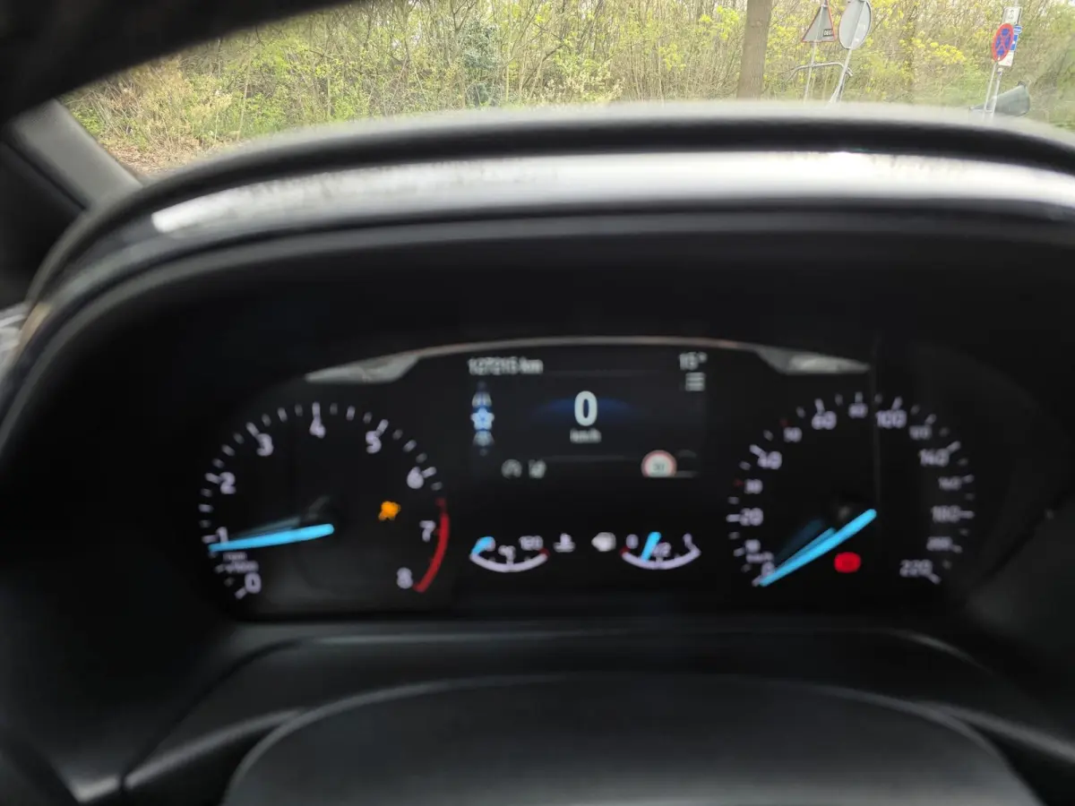 1.0 EcoBoost Active | 1E EIGENAAR | 12MND GARANTIE | CRUISE | LMV |