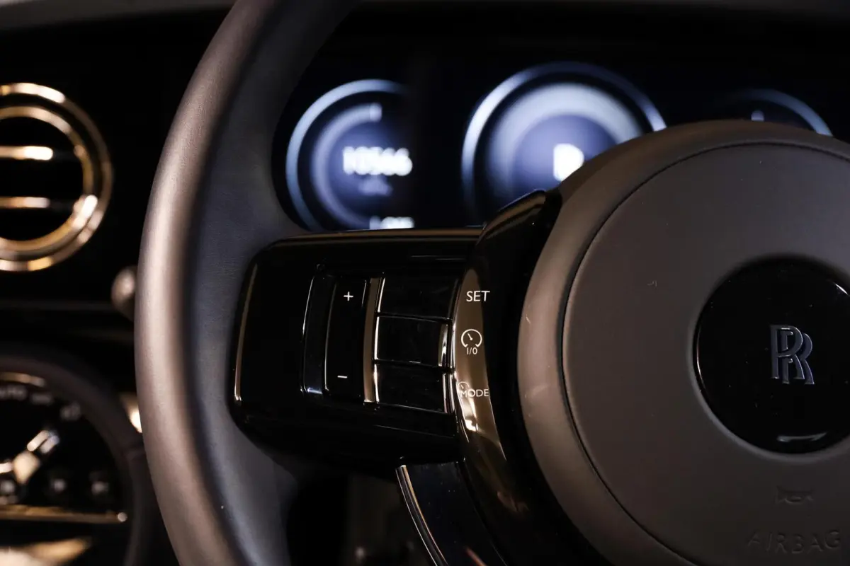 102 kWh|StarlightDoors|Bespoke|Full PPF|