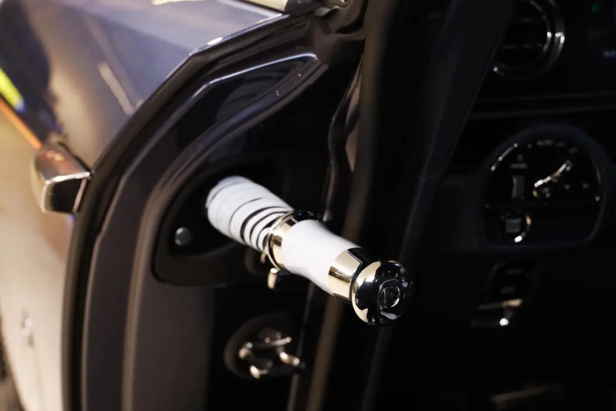 102 kWh|StarlightDoors|Bespoke|Full PPF|