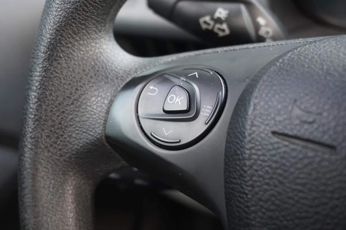 1.5 EcoBlue EURO 6 - Airco - Cruise - Camera - €8.950,- Excl.