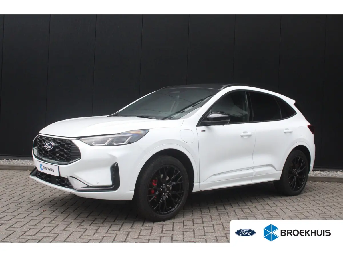 2.5 PHEV ST-Line X | Full options inclusief Black-pack & Trekhaak