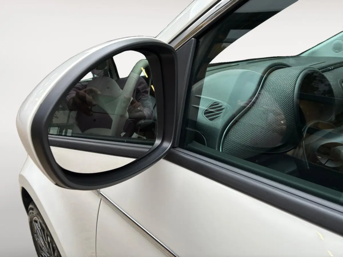 La Prima 42 kWh NAVI | LEDER | LM VELGEN | SOH 98,43%