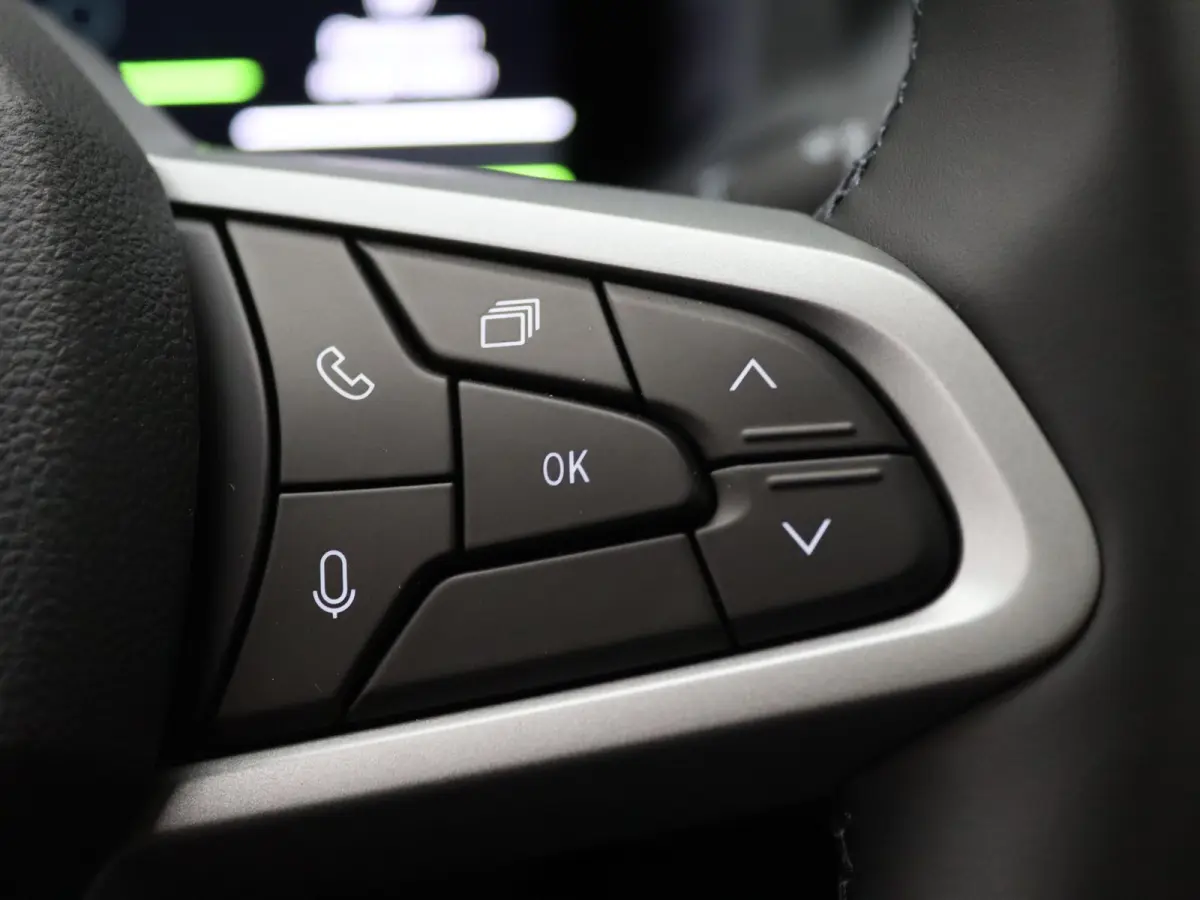 "Signature Stam" 155pk Hybrid Limited Edition Leder Dakar Cognac /Apple Carplay/Android Auto | Panoramadak