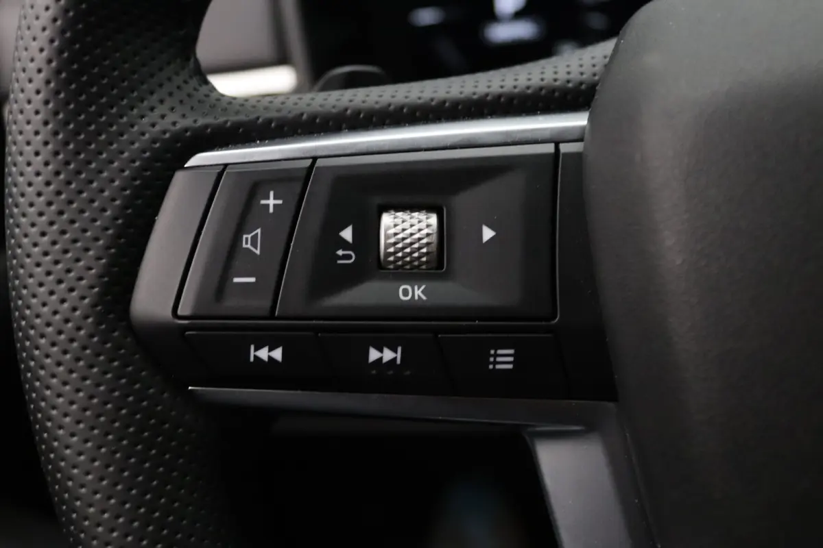 306pk PHEV Business Edition Apple Carplay/Android Auto | Climate