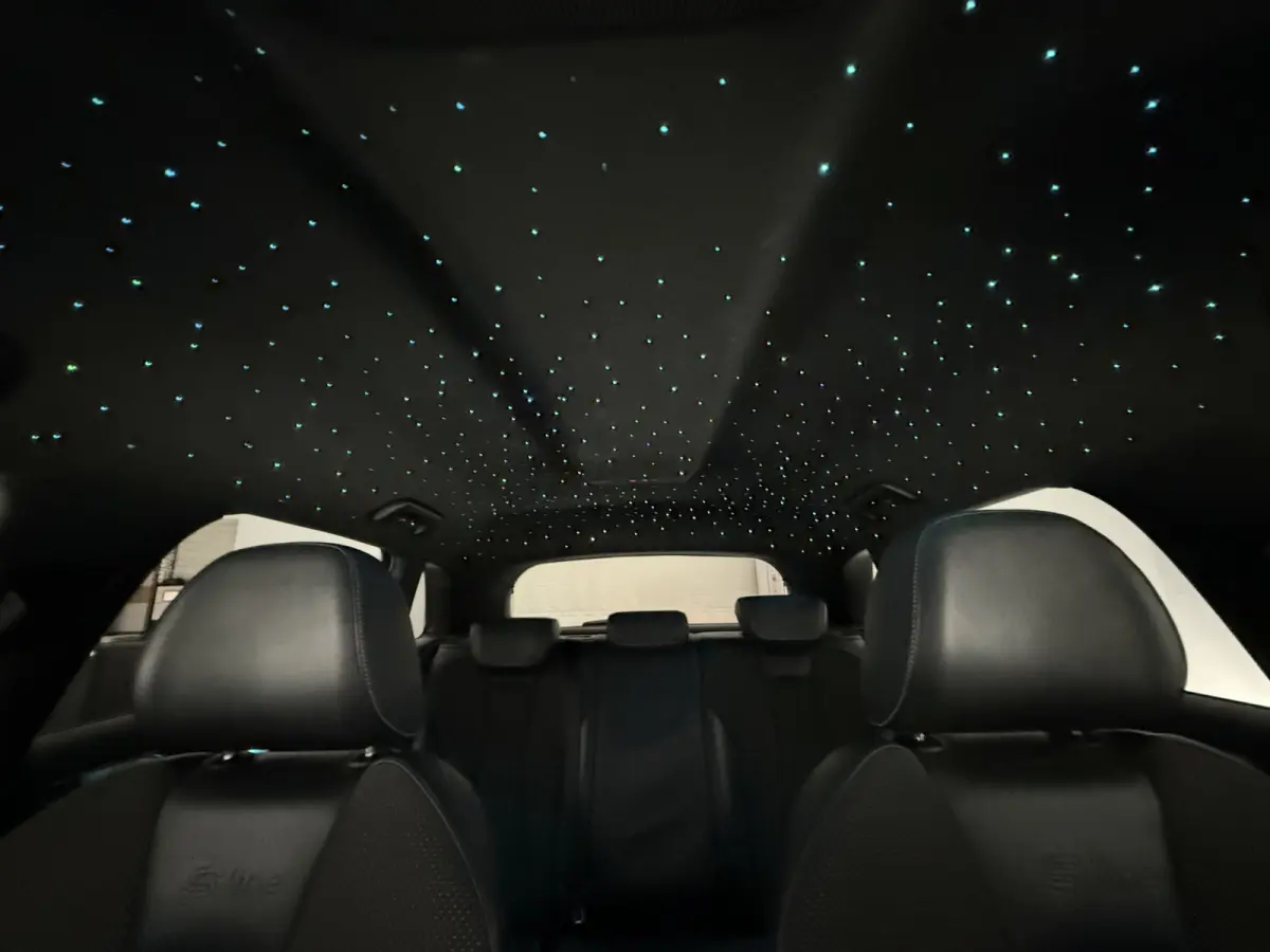 1.4 e-tron PHEV S-line | Sterrenhemel | Sfeer | Clima | Cruise | Navi | Trekhaak | LED | Parkeersens.