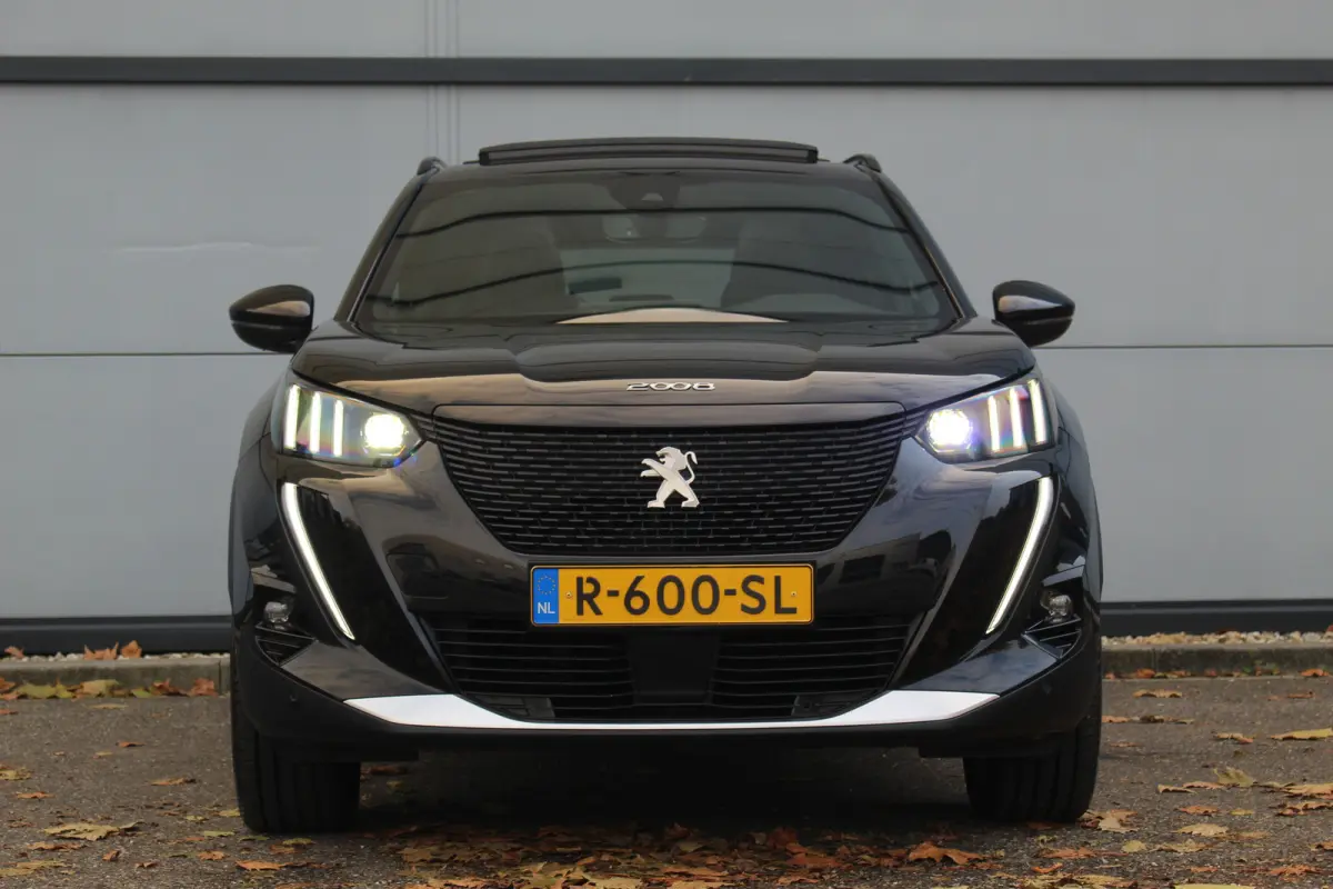 EV GT Pack 50 kWh 3- Fase | Pano | Winterpack | Trekhaak | ACC | BLIS | Leder/Alc. | Camera | CarPlay | Navi | PDC V&A | 18" LMV | Pano | Winterpack | Trekhaak | ACC | BLIS | Leder/Alc. | Ca