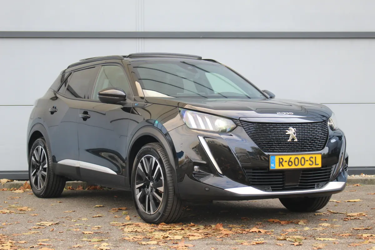 EV GT Pack 50 kWh 3- Fase | Pano | Winterpack | Trekhaak | ACC | BLIS | Leder/Alc. | Camera | CarPlay | Navi | PDC V&A | 18" LMV | Pano | Winterpack | Trekhaak | ACC | BLIS | Leder/Alc. | Ca