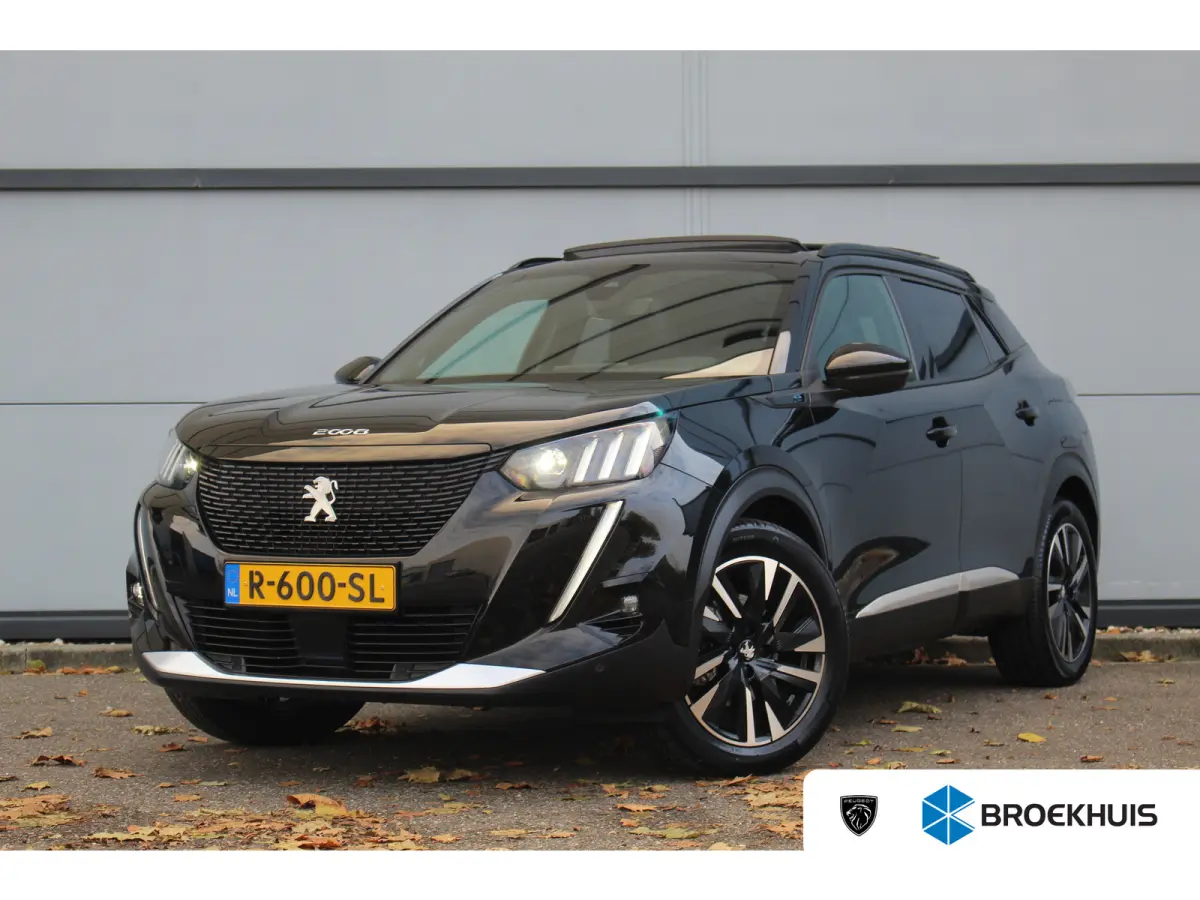 EV GT Pack 50 kWh 3- Fase | Pano | Winterpack | Trekhaak | ACC | BLIS | Leder/Alc. | Camera | CarPlay | Navi | PDC V&A | 18" LMV | Pano | Winterpack | Trekhaak | ACC | BLIS | Leder/Alc. | Ca