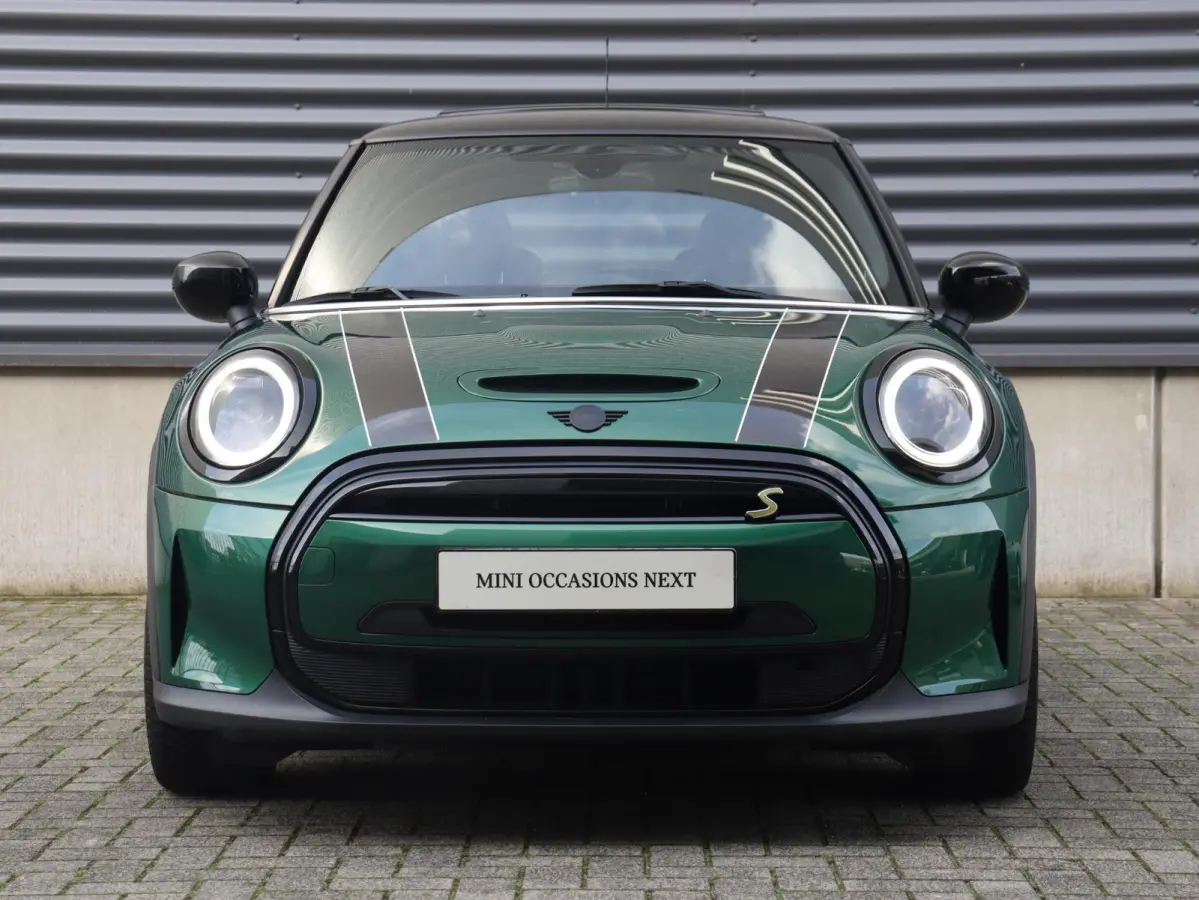 Electric | Yours + Panodak + Sportstoelen + Getint Glas + Comfort Access + Harman Kardon + Apple Carplay + 17'' LMV