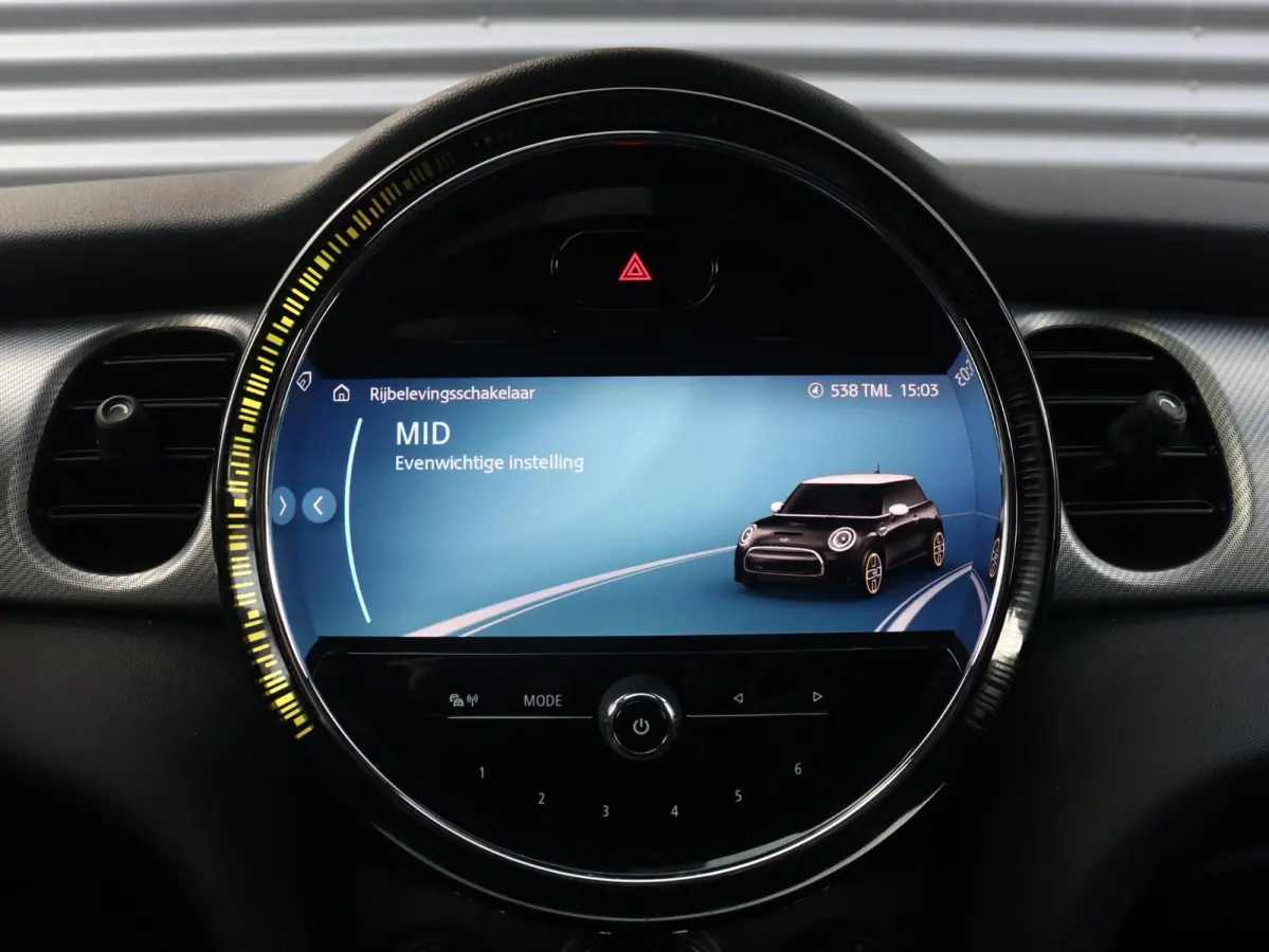 Electric | Yours + Panodak + Sportstoelen + Getint Glas + Comfort Access + Harman Kardon + Apple Carplay + 17'' LMV