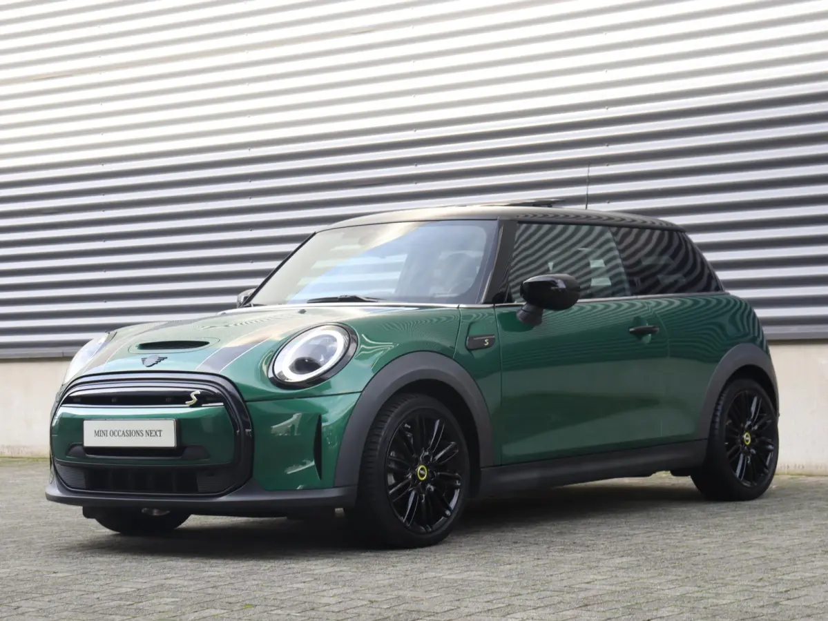 Electric | Yours + Panodak + Sportstoelen + Getint Glas + Comfort Access + Harman Kardon + Apple Carplay + 17'' LMV