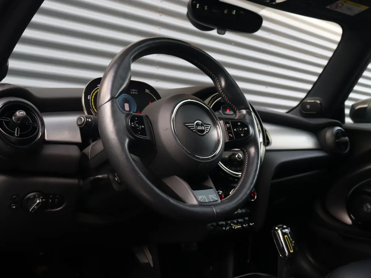 Electric | Yours + Panodak + Sportstoelen + Getint Glas + Comfort Access + Harman Kardon + Apple Carplay + 17'' LMV