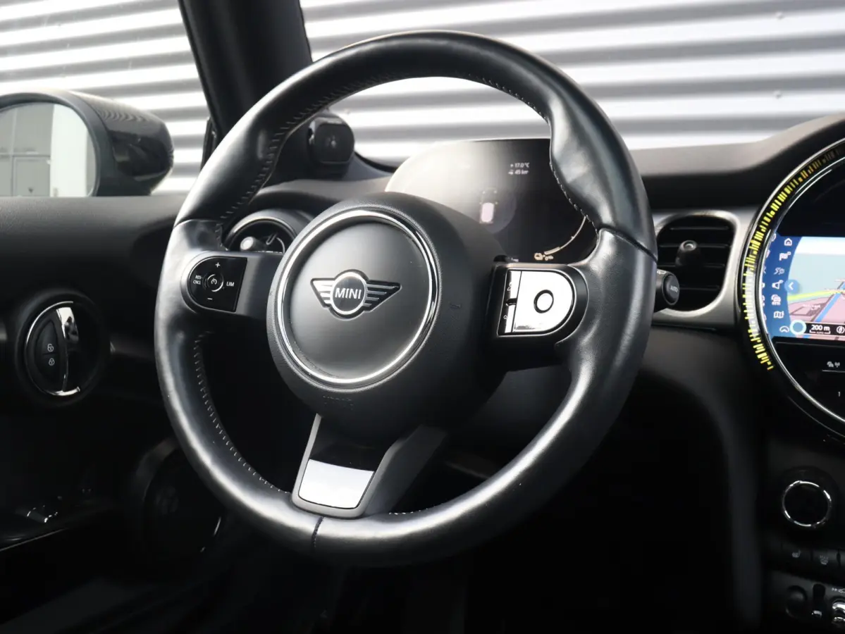 Electric | Yours + Panodak + Sportstoelen + Getint Glas + Comfort Access + Harman Kardon + Apple Carplay + 17'' LMV