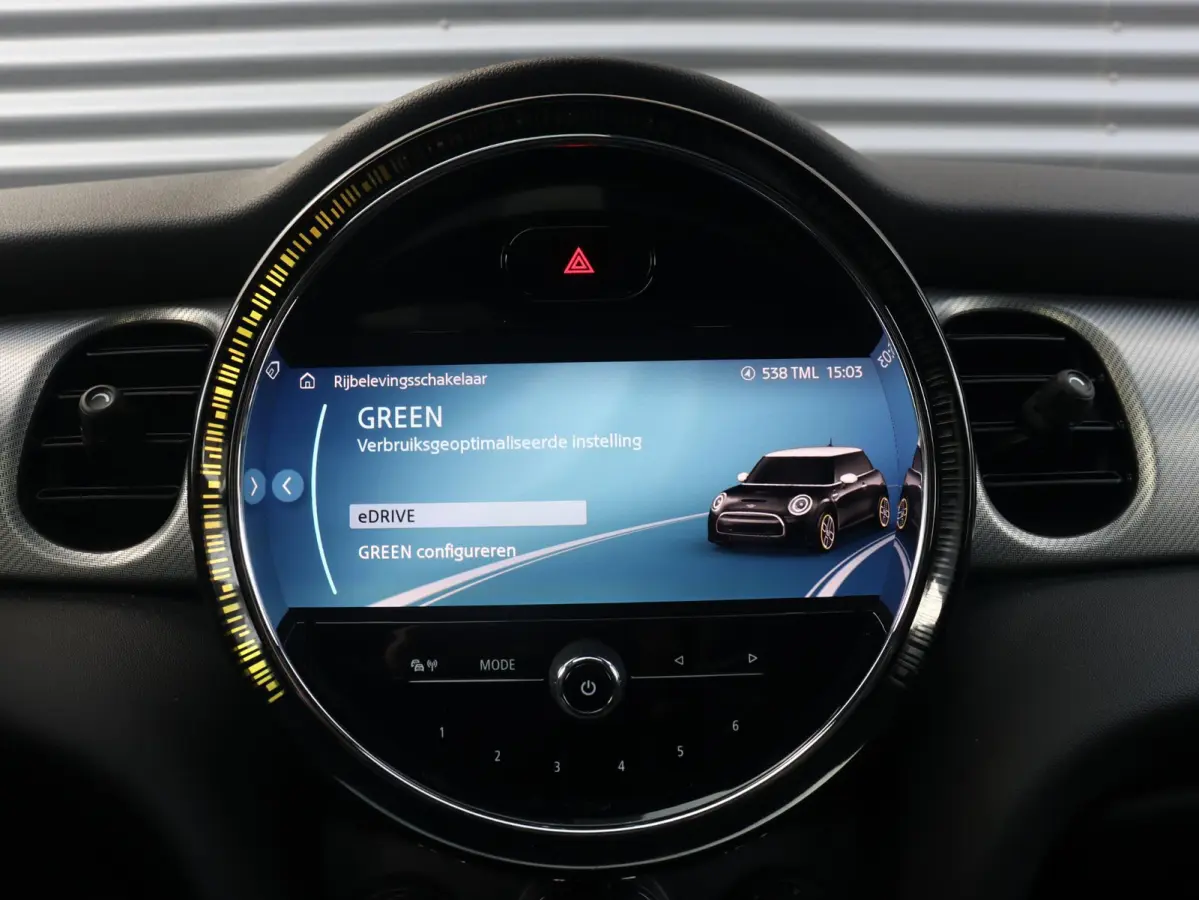 Electric | Yours + Panodak + Sportstoelen + Getint Glas + Comfort Access + Harman Kardon + Apple Carplay + 17'' LMV