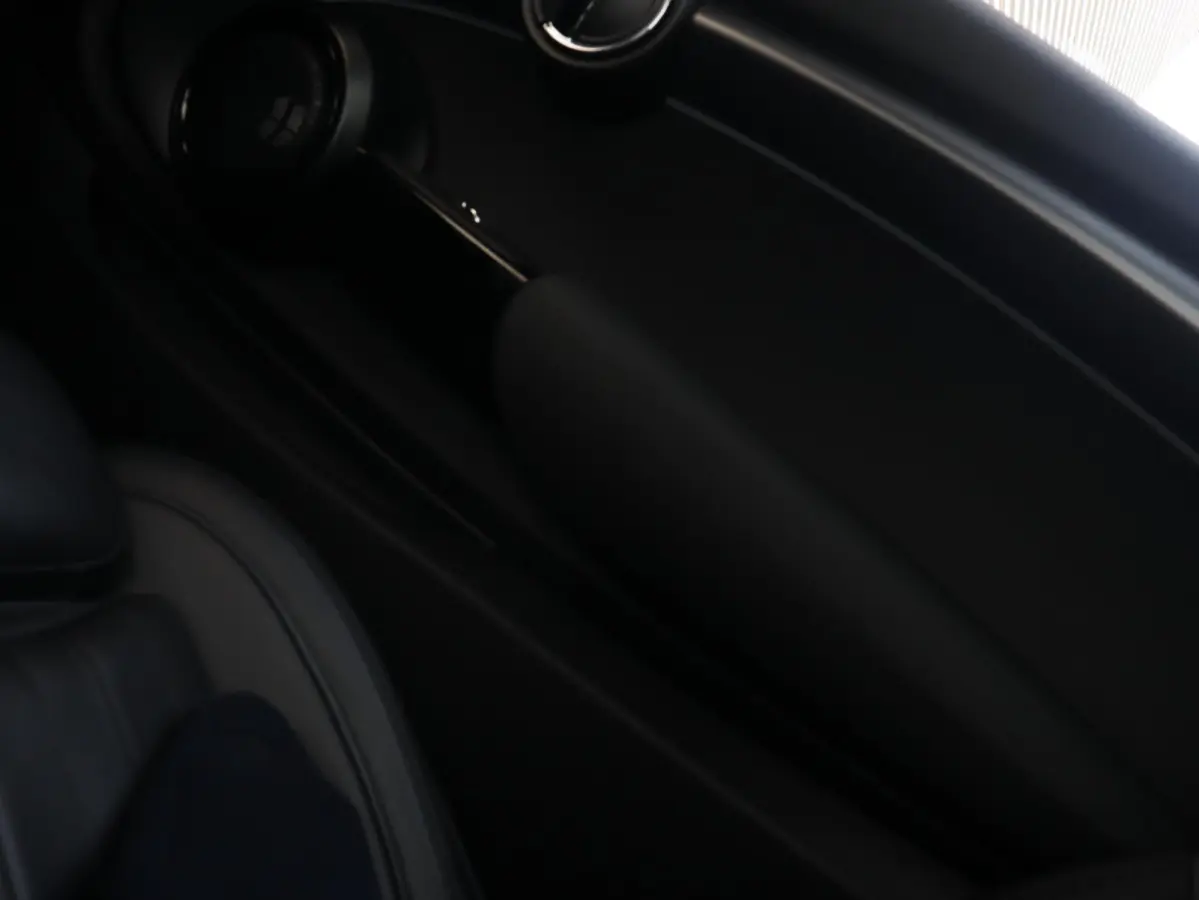 Electric | Yours + Panodak + Sportstoelen + Getint Glas + Comfort Access + Harman Kardon + Apple Carplay + 17'' LMV