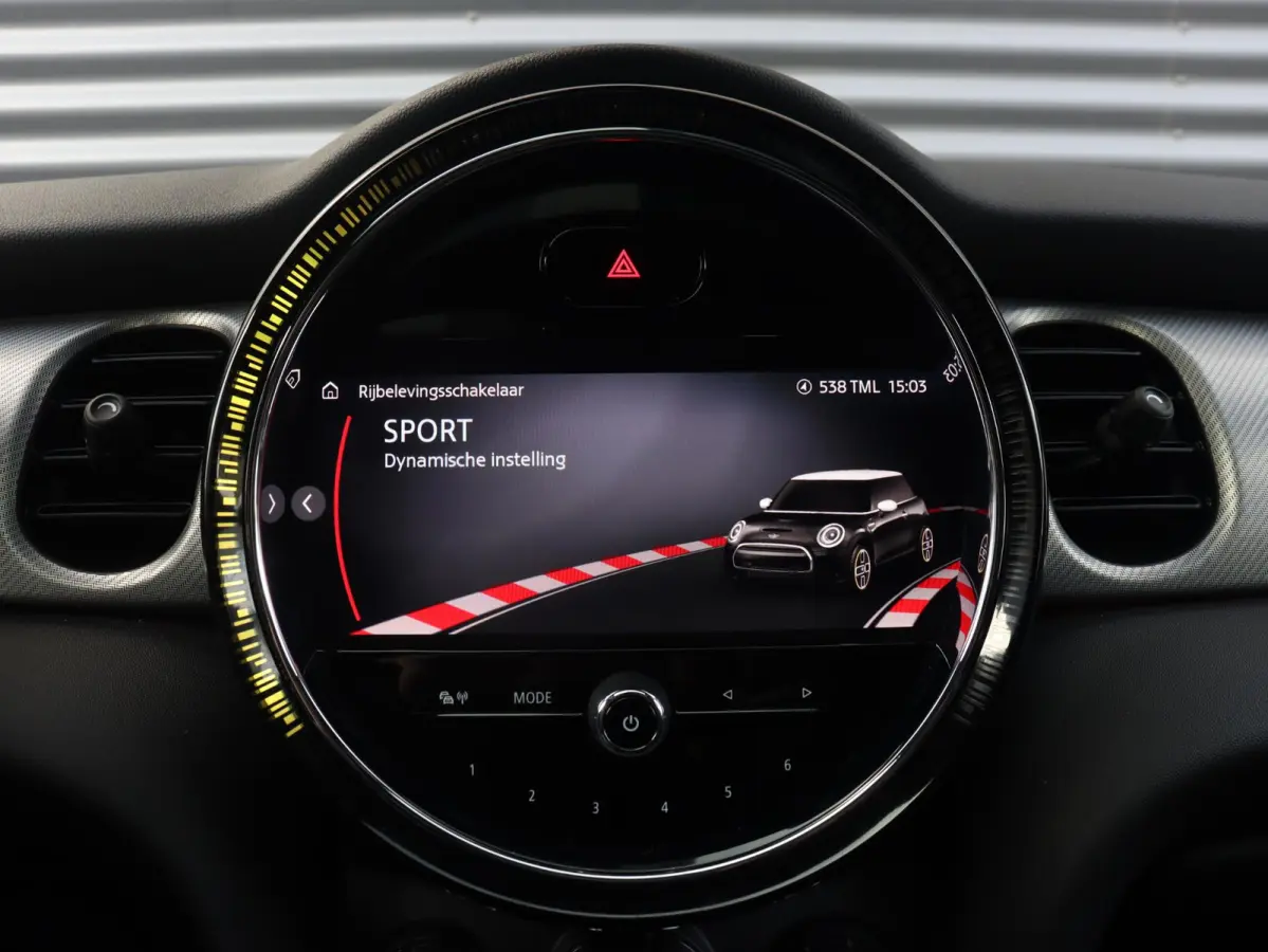 Electric | Yours + Panodak + Sportstoelen + Getint Glas + Comfort Access + Harman Kardon + Apple Carplay + 17'' LMV