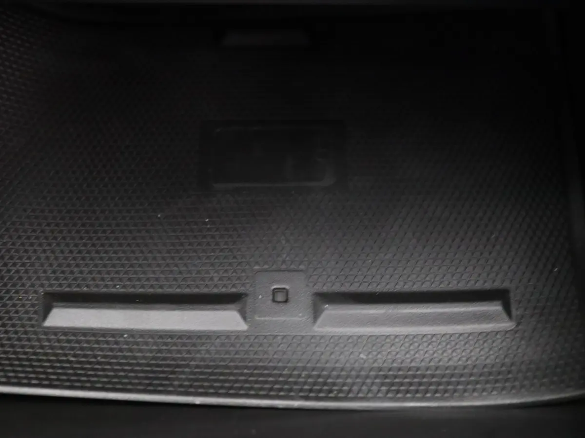 Esprit Alpine E-Tech Full Hybrid 145pk 360° Camera | Adapt. cruise | Bose | Navi | Stoel-/stuurverwarming