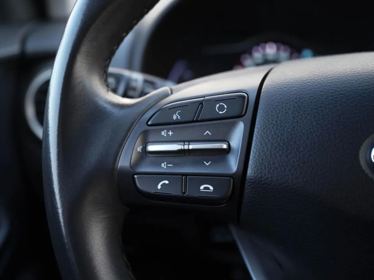 EV Comfort 64 kWh 3-Fase | SOH 97% | Navigatie | Krell audio | Warmtepomp