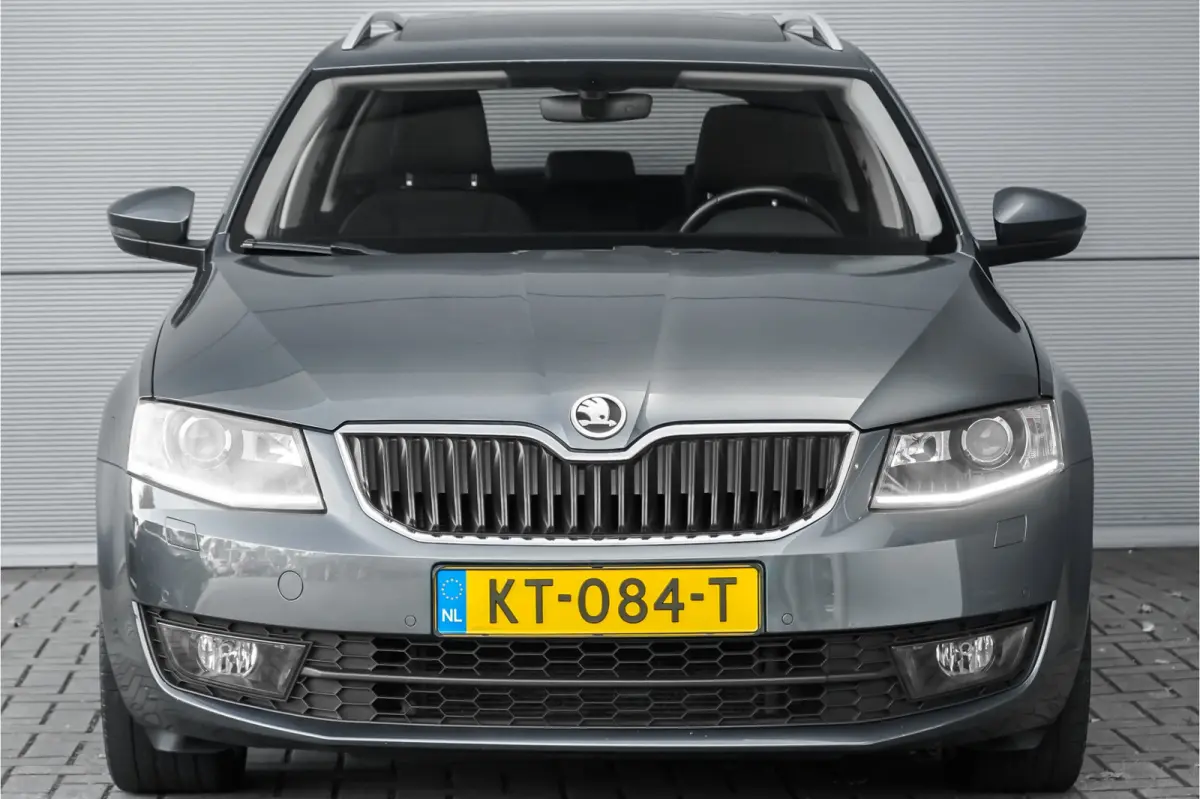 1.0 TSI Greentech Style Business Pano Canton Audio CarPlay Xenon