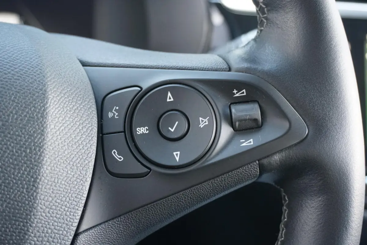 GS Line 50 kWh + CAMERA / STOEL+STUURVERWARMING / CARPLAY