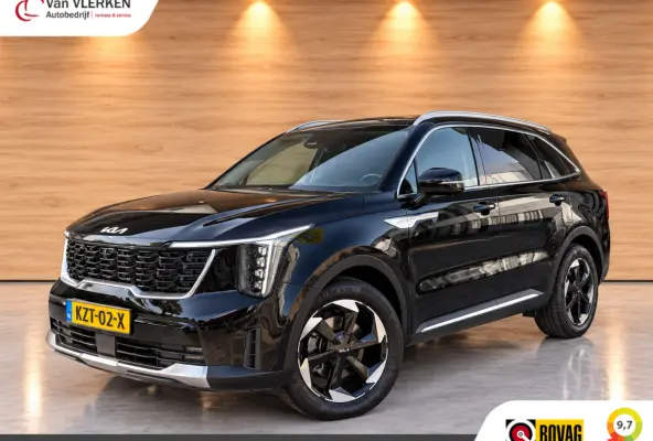1.6 T-GDi Plug-in Hybrid 4WD ExecutiveLine 7p
