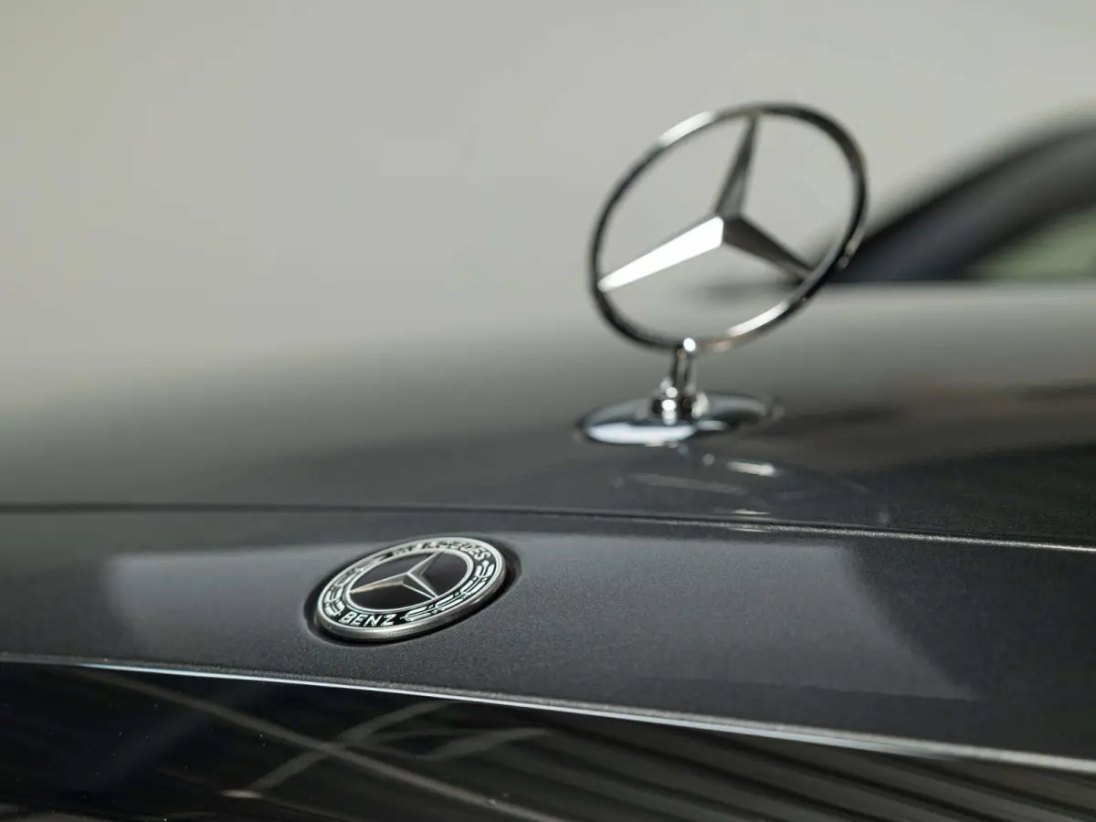 580 e Lang AMG Line | Panorama dak