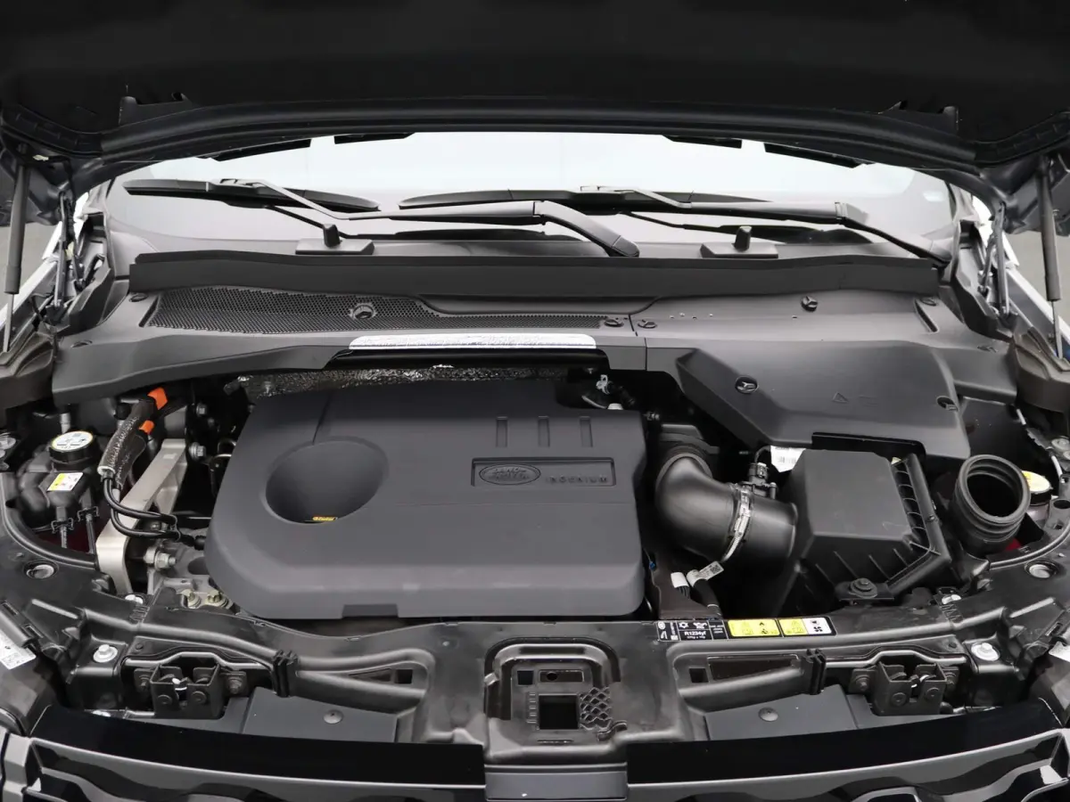P300e Dynamic SE | Stoelverwarming |  3D Surround Camera View | Panoramisch Glazen dak