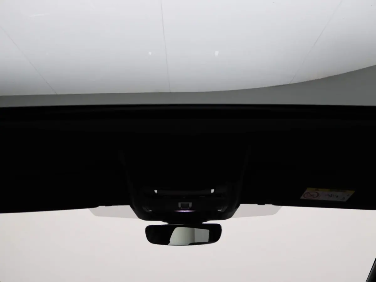 P300e Dynamic SE | Stoelverwarming |  3D Surround Camera View | Panoramisch Glazen dak