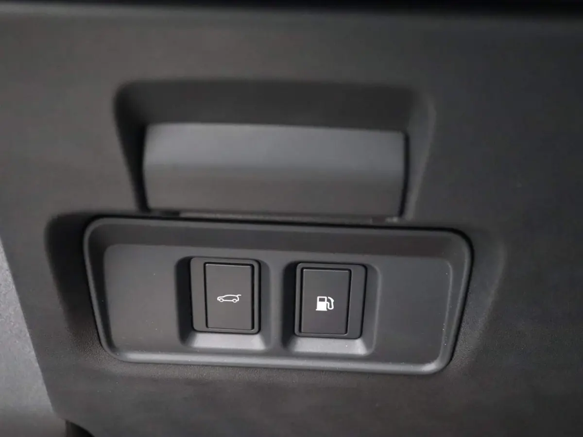 P300e Dynamic SE | Stoelverwarming |  3D Surround Camera View | Panoramisch Glazen dak