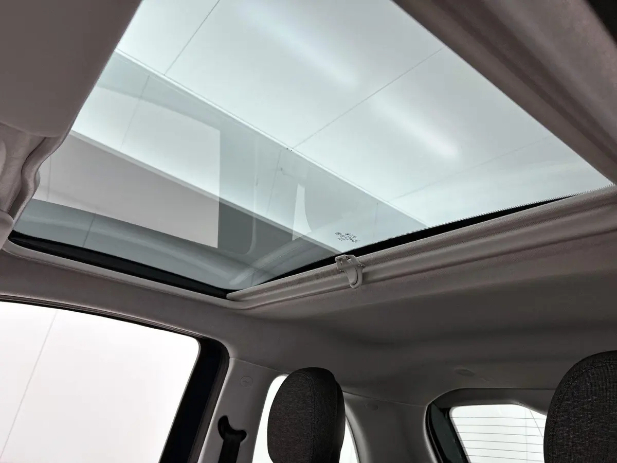 Icon 42 kWh | Climate | Cruise | Bluetooth | LMV | Keyless | Camera | Panodak | SOH 95%