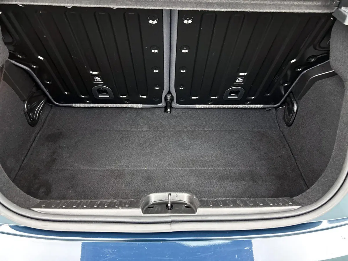 Icon 42 kWh | Climate | Cruise | Bluetooth | LMV | Keyless | Camera | Panodak | SOH 95%