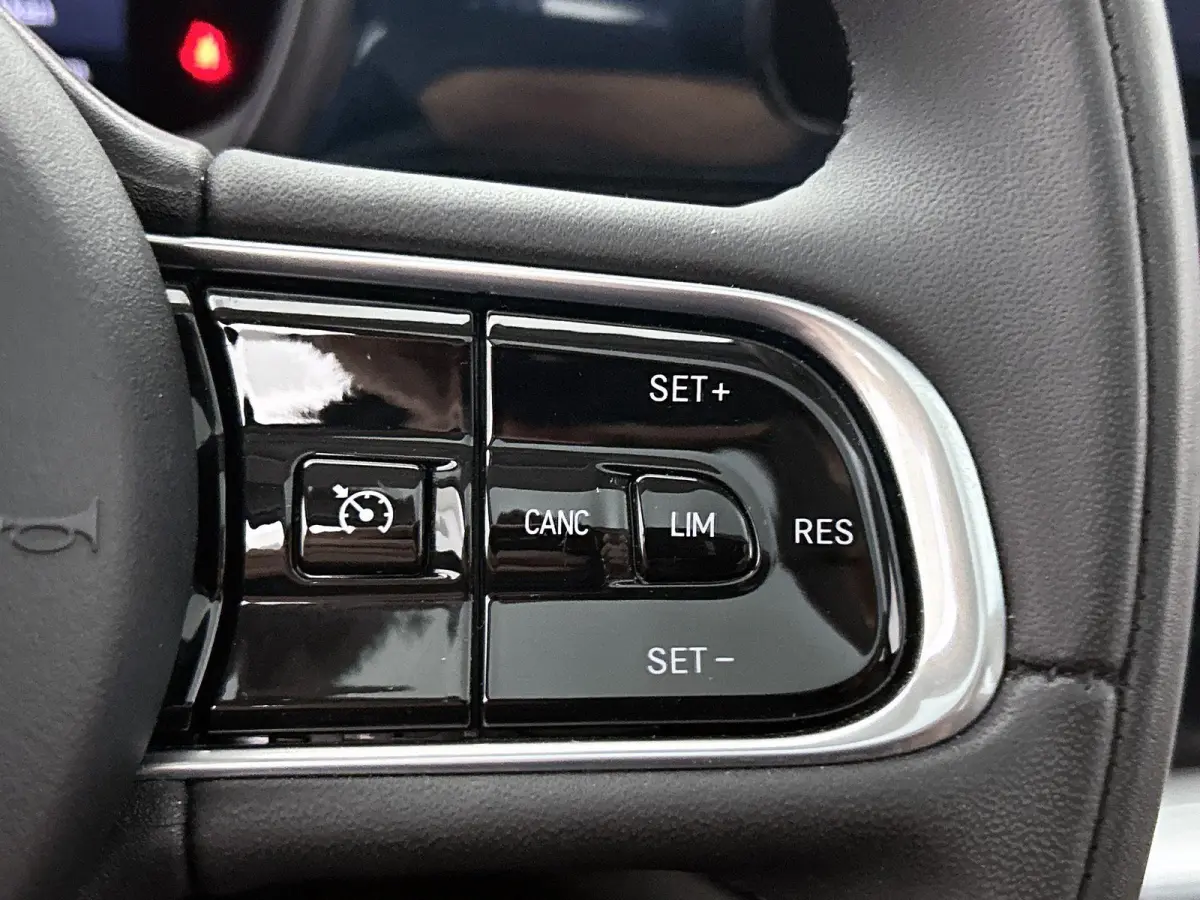 Icon 42 kWh | Climate | Cruise | Bluetooth | LMV | Keyless | Camera | Panodak | SOH 95%