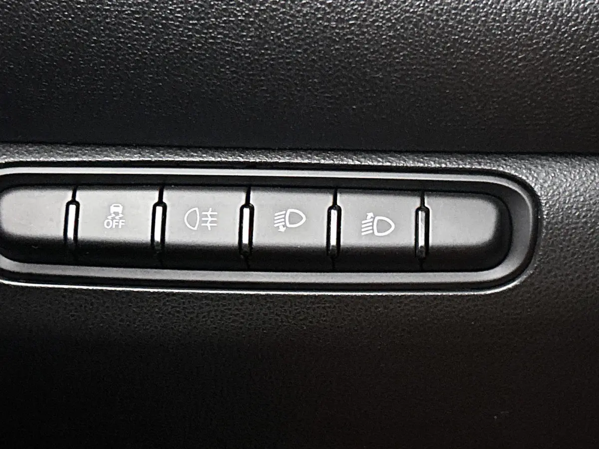 Icon 42 kWh | Climate | Cruise | Bluetooth | LMV | Keyless | Camera | Panodak | SOH 95%