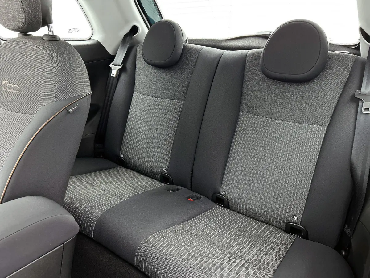Icon 42 kWh | Climate | Cruise | Bluetooth | LMV | Keyless | Camera | Panodak | SOH 95%