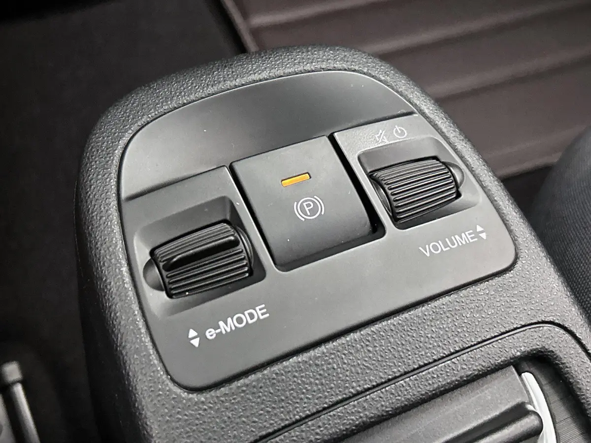 Icon 42 kWh | Climate | Cruise | Bluetooth | LMV | Keyless | Camera | Panodak | SOH 95%