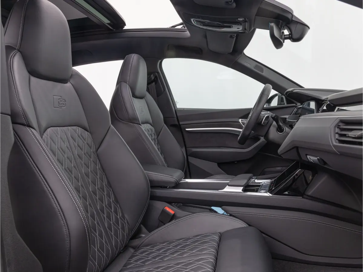 55 Quattro 115kWh 408pk Pano S-stoelen B&O Carbon