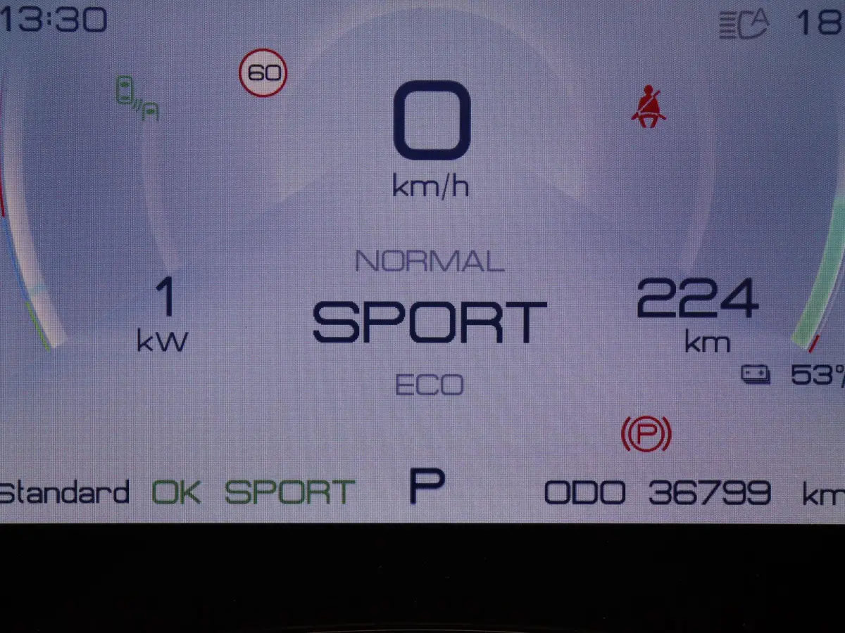 Comfort 60 kWh | SOH 95% | Panoramadak | 420km WLTP | Stoelverwarming |
